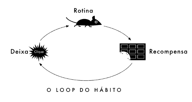 ciclo-do-hábito