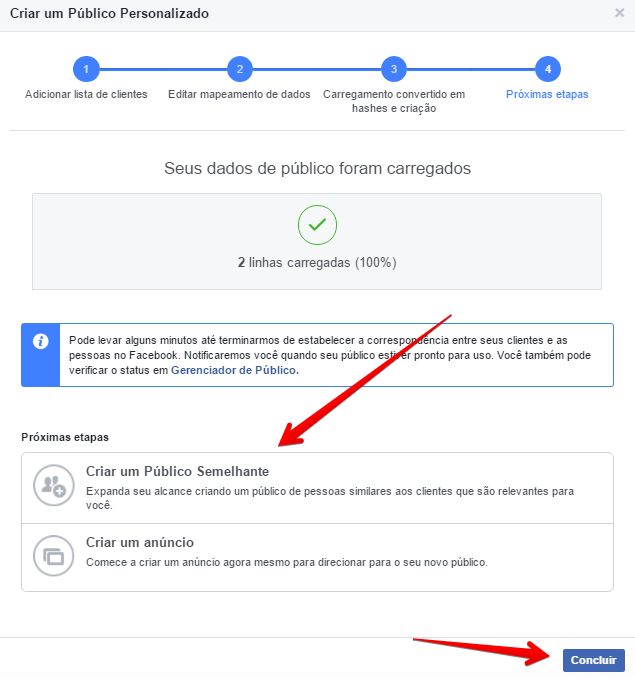 criar-publico-semelhante-concluir