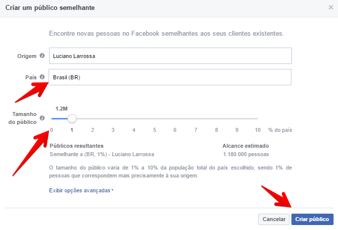 criar-publico-semelhante-pais