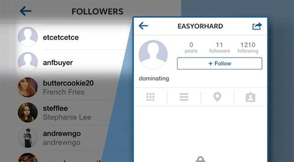 perdi seguidores no instagram fake