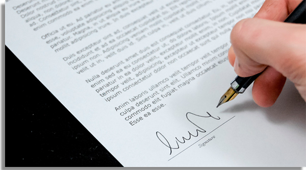 contrato de servicos
