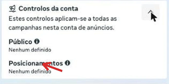 Painel Controlos da conta dentro do conjunto de anúncios a indicar que não há posicionamentos excluídos